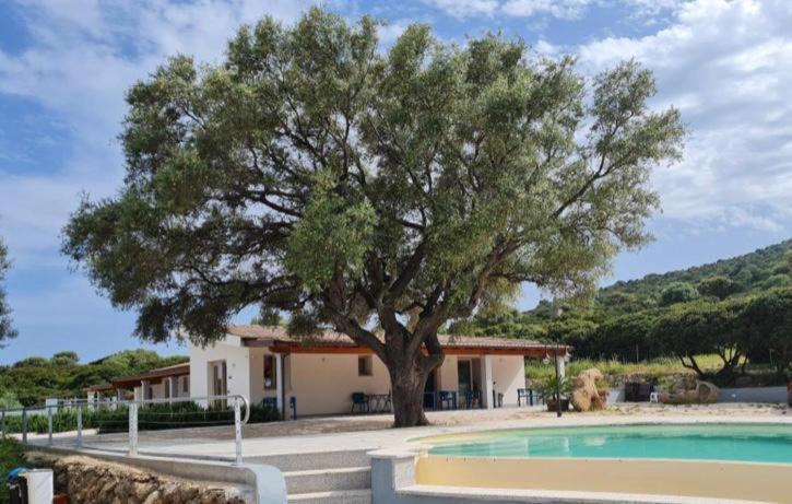 Hotel Pranos Turismo Rurale Cala Gonone Εξωτερικό φωτογραφία